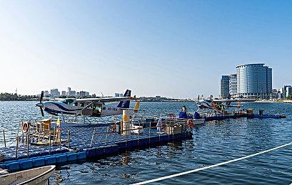 传闻：《古墓丽影》新作完全开放世界 设定在印度